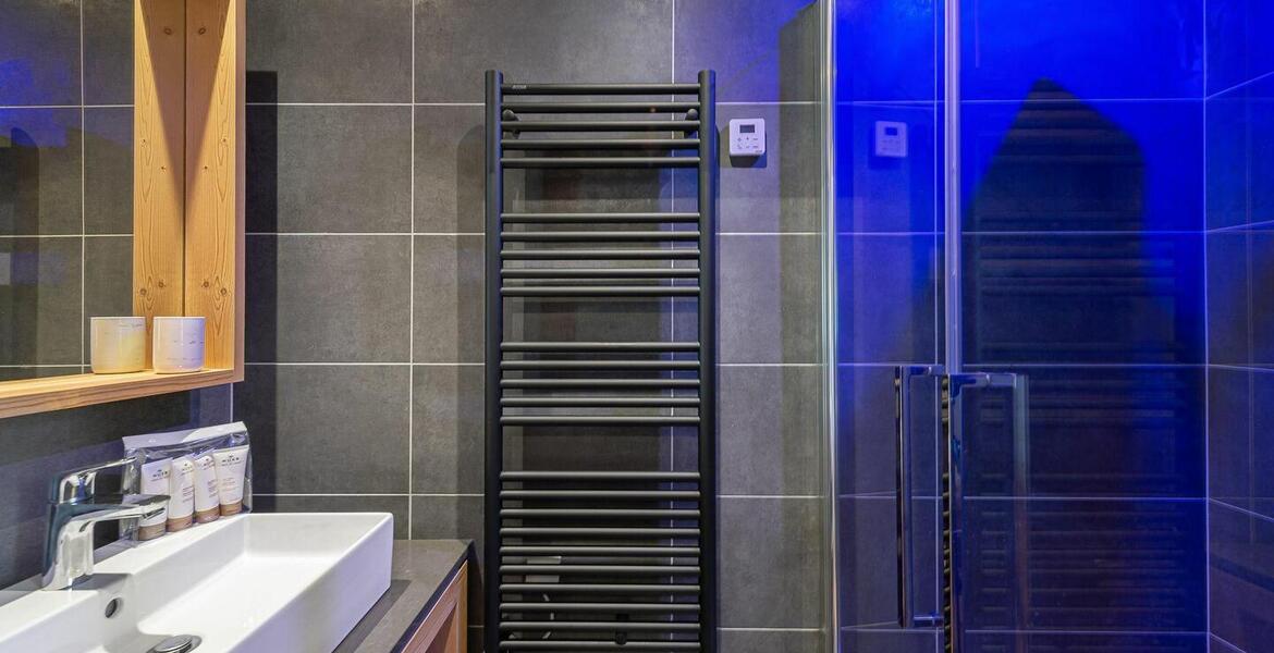 Apartamento de 2 dormitorios en alquiler en Rochebrune