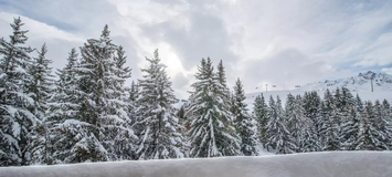 Penthouse in Belvédère, Courchevel 1650 for rent for 8 Guest