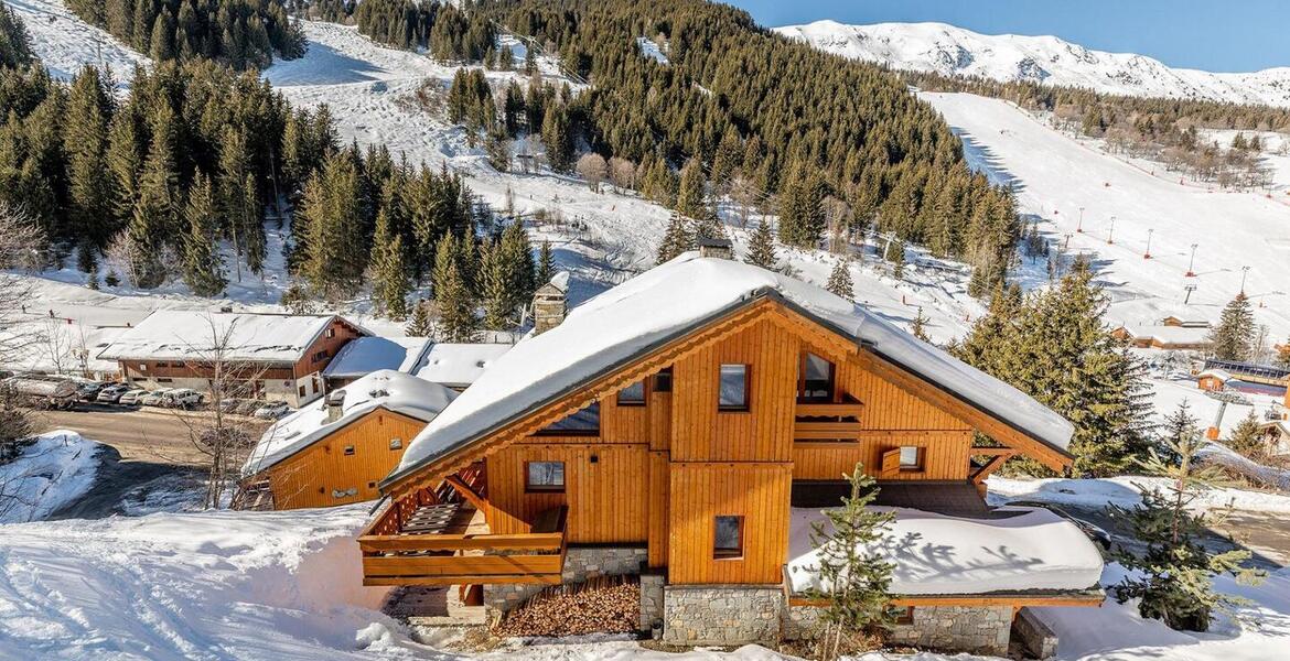 Ski-In/Ski-Out Chalet for Rent in Méribel