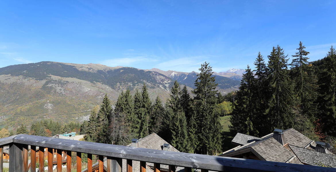Chalet  - Courchevel La Tania 