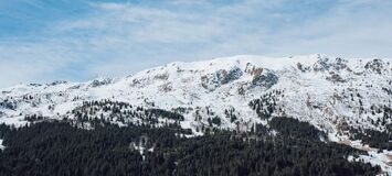 Дуплекс пентхаус в аренду Мерибель