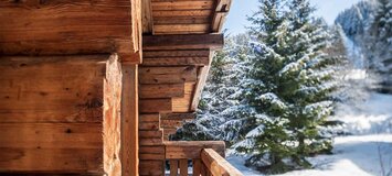 Chalet de Esquí en La Tania