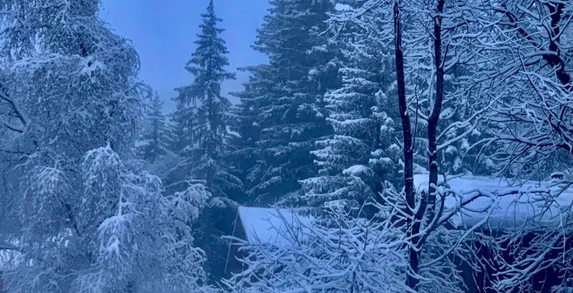 Apartment for rent in Courchevel 1550