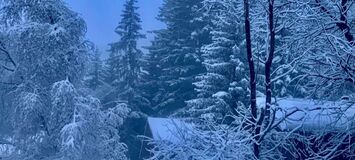 Apartment for rent in Courchevel 1550