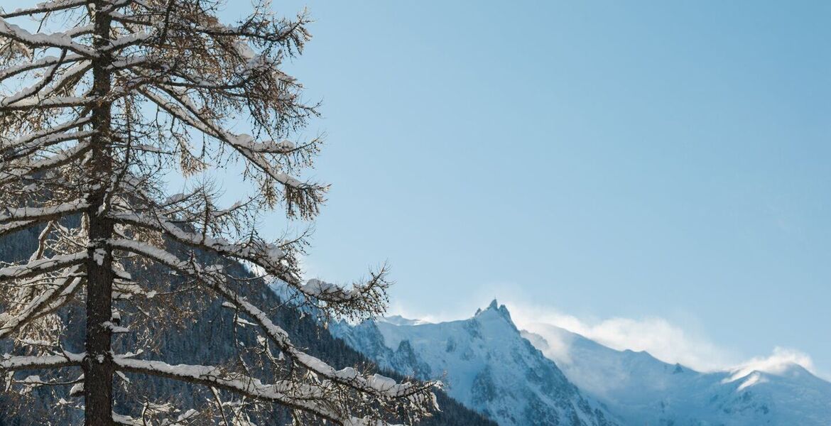 Chalet for rent in Chamonix