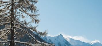 Chalet for rent in Chamonix